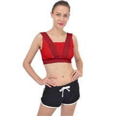 Maga Make America Great Again Usa Pattern Red V-back Sports Bra by snek