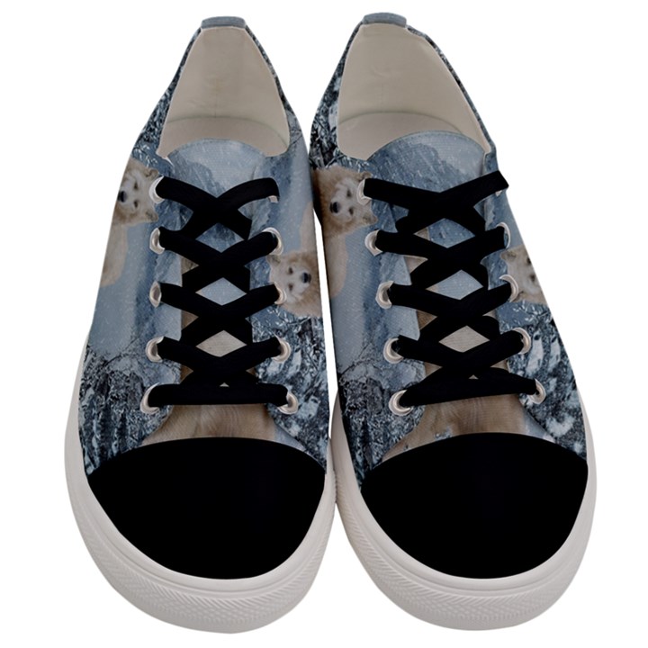 Wonderful Arctic Wolf In The Winter Landscape Men s Low Top Canvas Sneakers