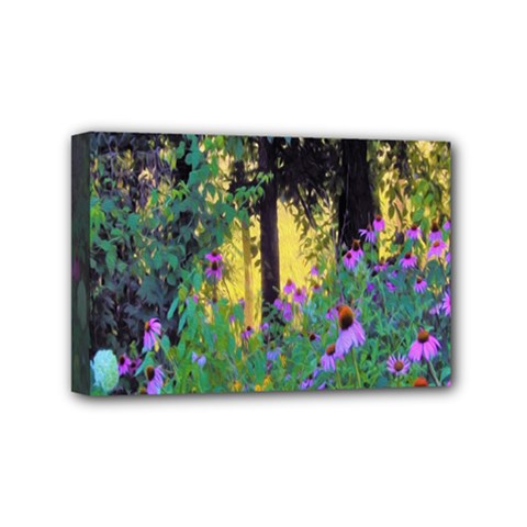 Hazy Morning Sunrise In My Rubio Garden Mini Canvas 6  X 4  (stretched) by myrubiogarden