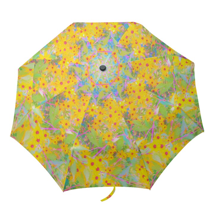 Pretty Yellow And Red Flowers With Turquoise Folding Umbrellas