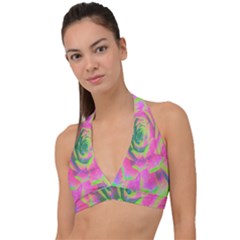 Lime Green And Pink Succulent Sedum Rosette Halter Plunge Bikini Top by myrubiogarden