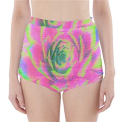 Lime Green And Pink Succulent Sedum Rosette High-waisted Bikini Bottoms by myrubiogarden