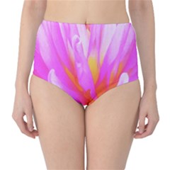 Fiery Hot Pink And Yellow Cactus Dahlia Flower Classic High-waist Bikini Bottoms by myrubiogarden