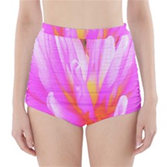 Fiery Hot Pink And Yellow Cactus Dahlia Flower High-waisted Bikini Bottoms by myrubiogarden