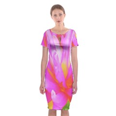 Fiery Hot Pink And Yellow Cactus Dahlia Flower Classic Short Sleeve Midi Dress by myrubiogarden