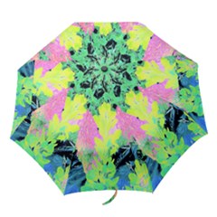 Fluorescent Yellow Smoke Tree With Pink Hydrangea Folding Umbrellas by myrubiogarden