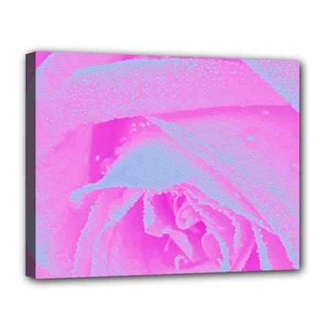 Perfect Hot Pink And Light Blue Rose Detail Canvas 14  X 11  (stretched) by myrubiogarden