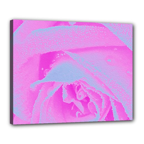 Perfect Hot Pink And Light Blue Rose Detail Canvas 20  X 16  (stretched) by myrubiogarden