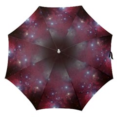 Christmas Tree Cluster Red Stars Nebula Constellation Astronomy Straight Umbrellas