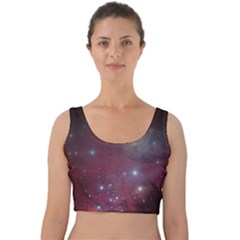 Christmas Tree Cluster Red Stars Nebula Constellation Astronomy Velvet Crop Top by genx