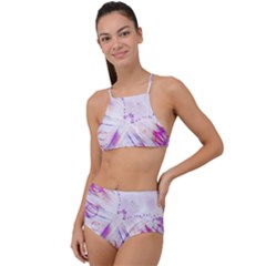 Colorful Butterfly Purple High Waist Tankini Set