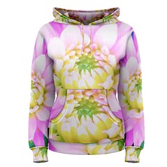 Pretty Pink, White And Yellow Cactus Dahlia Macro Women s Pullover Hoodie by myrubiogarden