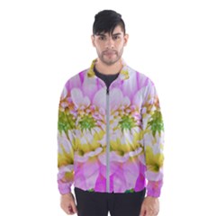 Pretty Pink, White And Yellow Cactus Dahlia Macro Windbreaker (men) by myrubiogarden