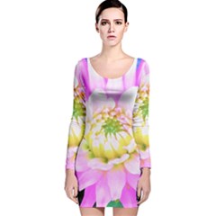 Pretty Pink, White And Yellow Cactus Dahlia Macro Long Sleeve Velvet Bodycon Dress by myrubiogarden