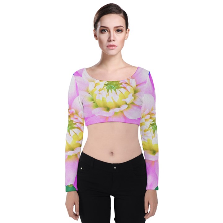 Pretty Pink, White And Yellow Cactus Dahlia Macro Velvet Long Sleeve Crop Top