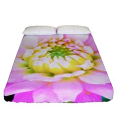 Pretty Pink, White And Yellow Cactus Dahlia Macro Fitted Sheet (queen Size) by myrubiogarden