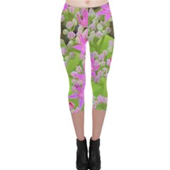 Hot Pink Succulent Sedum With Fleshy Green Leaves Capri Leggings  by myrubiogarden