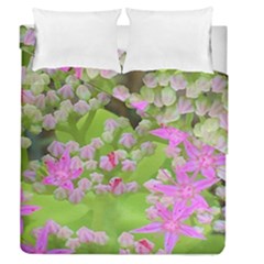 Hot Pink Succulent Sedum With Fleshy Green Leaves Duvet Cover Double Side (queen Size) by myrubiogarden