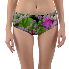 Hot Pink Succulent Sedum With Fleshy Green Leaves Reversible Mid-waist Bikini Bottoms by myrubiogarden