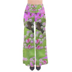 Hot Pink Succulent Sedum With Fleshy Green Leaves So Vintage Palazzo Pants by myrubiogarden