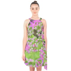 Hot Pink Succulent Sedum With Fleshy Green Leaves Halter Collar Waist Tie Chiffon Dress by myrubiogarden