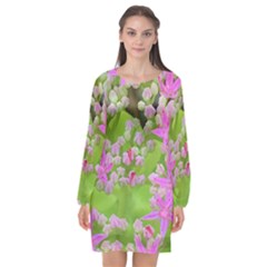 Hot Pink Succulent Sedum With Fleshy Green Leaves Long Sleeve Chiffon Shift Dress  by myrubiogarden