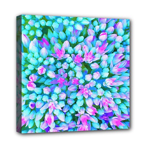 Blue And Hot Pink Succulent Sedum Flowers Detail Mini Canvas 8  X 8  (stretched) by myrubiogarden