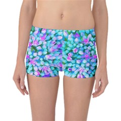 Blue And Hot Pink Succulent Sedum Flowers Detail Boyleg Bikini Bottoms by myrubiogarden