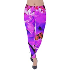 Abstract Ultra Violet Purple Iris On Red And Pink Velvet Leggings by myrubiogarden