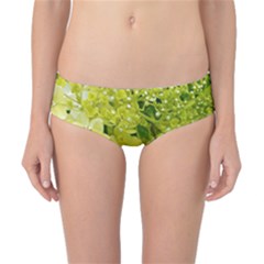 Elegant Chartreuse Green Limelight Hydrangea Macro Classic Bikini Bottoms by myrubiogarden