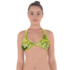 Elegant Chartreuse Green Limelight Hydrangea Macro Halter Neck Bikini Top by myrubiogarden