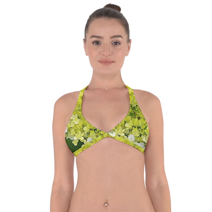 Elegant Chartreuse Green Limelight Hydrangea Macro Halter Neck Bikini Top