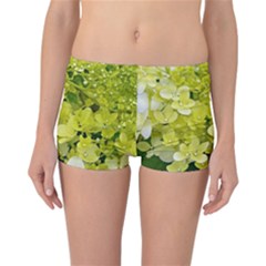 Elegant Chartreuse Green Limelight Hydrangea Macro Reversible Boyleg Bikini Bottoms by myrubiogarden