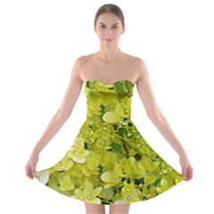 Elegant Chartreuse Green Limelight Hydrangea Macro Strapless Bra Top Dress by myrubiogarden