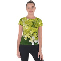 Elegant Chartreuse Green Limelight Hydrangea Macro Short Sleeve Sports Top  by myrubiogarden