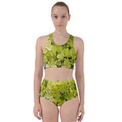 Elegant Chartreuse Green Limelight Hydrangea Macro Racer Back Bikini Set by myrubiogarden