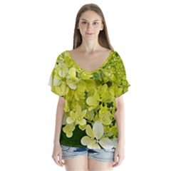 Elegant Chartreuse Green Limelight Hydrangea Macro V-neck Flutter Sleeve Top by myrubiogarden