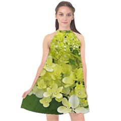 Elegant Chartreuse Green Limelight Hydrangea Macro Halter Neckline Chiffon Dress 