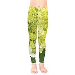 Elegant Chartreuse Green Limelight Hydrangea Macro Kids  Legging by myrubiogarden