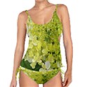 Elegant Chartreuse Green Limelight Hydrangea Macro Tankini Set View1