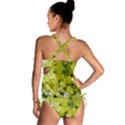 Elegant Chartreuse Green Limelight Hydrangea Macro Tankini Set View2