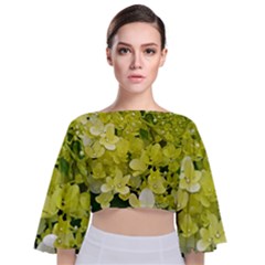 Elegant Chartreuse Green Limelight Hydrangea Macro Tie Back Butterfly Sleeve Chiffon Top by myrubiogarden