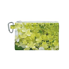 Elegant Chartreuse Green Limelight Hydrangea Macro Canvas Cosmetic Bag (small) by myrubiogarden