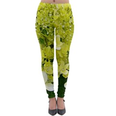 Elegant Chartreuse Green Limelight Hydrangea Macro Lightweight Velour Leggings by myrubiogarden