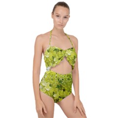 Elegant Chartreuse Green Limelight Hydrangea Macro Scallop Top Cut Out Swimsuit