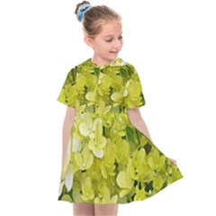 Elegant Chartreuse Green Limelight Hydrangea Macro Kids  Sailor Dress by myrubiogarden