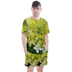 Elegant Chartreuse Green Limelight Hydrangea Macro Men s Mesh Tee And Shorts Set