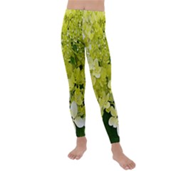 Elegant Chartreuse Green Limelight Hydrangea Macro Kids  Lightweight Velour Leggings by myrubiogarden