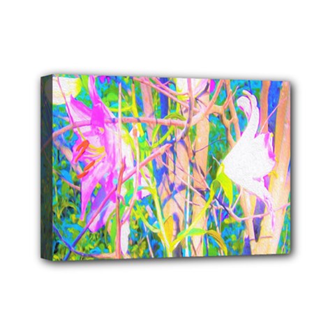 Abstract Oriental Lilies In My Rubio Garden Mini Canvas 7  X 5  (stretched) by myrubiogarden