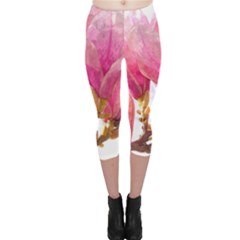 Wild Magnolia Flower Capri Leggings  by picsaspassion